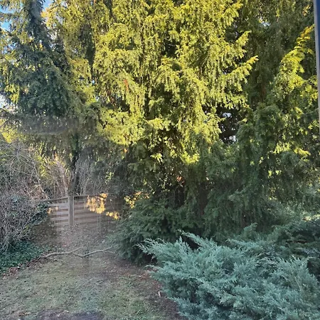 度假居 Tiny House For Two *