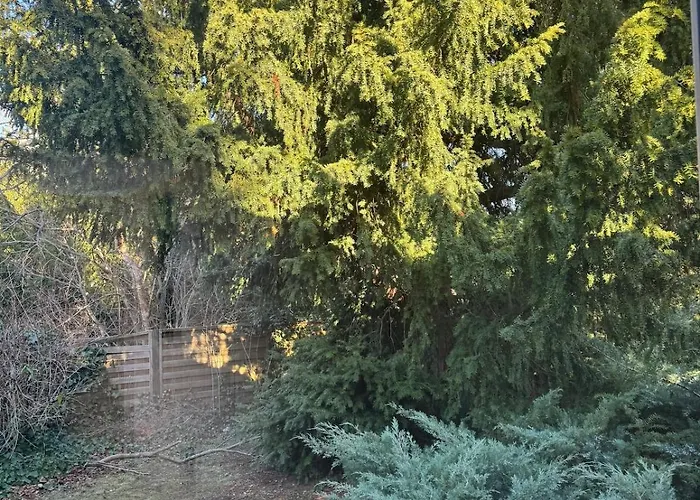 بيت للعطل Tiny House For Two *